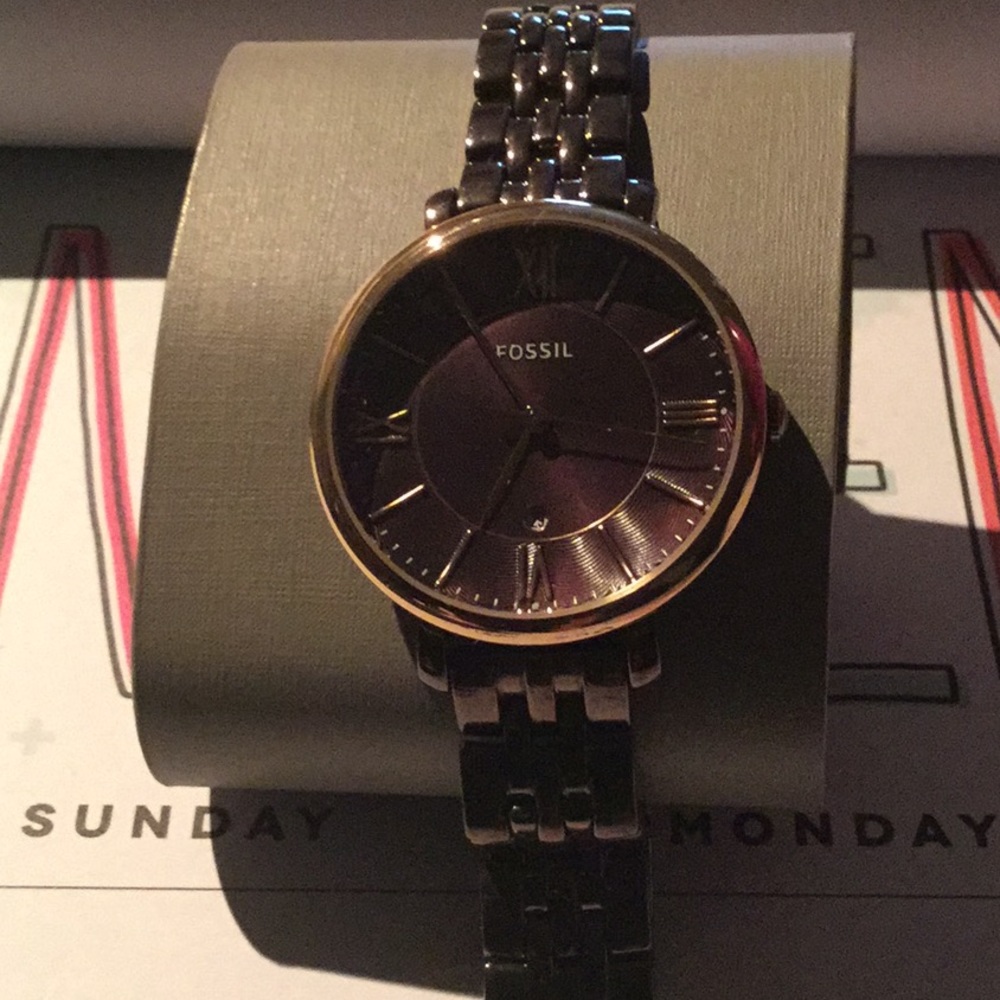 NWT Fossil Watch